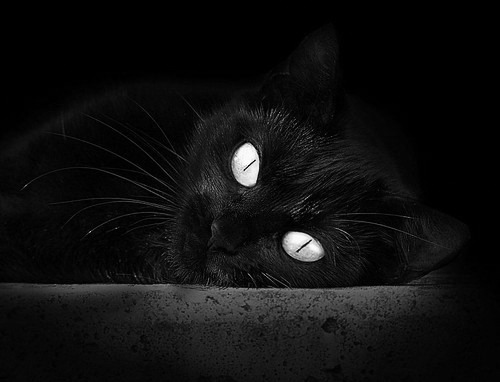 九游网页版入口-手工极限竞技：创造与挑战的极致融合