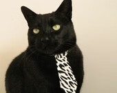 迈阿密热火防守体系升级,目标锁定总冠军!,迈阿密热火在哪里