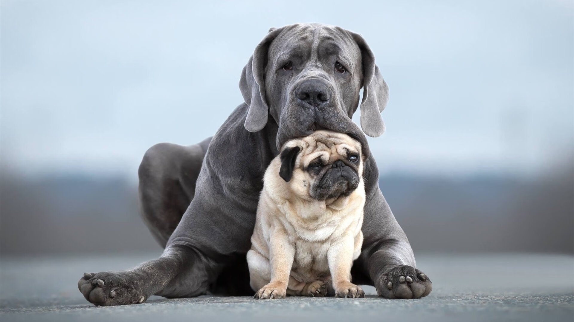 九游下载官网-校园足球联赛火热进行，激发学生兴趣，学校足球联赛方案
