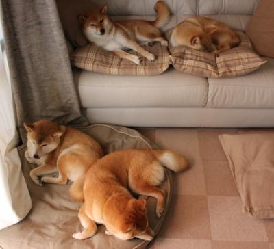 九游娱乐(jiuyou)官网-沃特福德是否已逐渐形成团队默契，沃特福德联