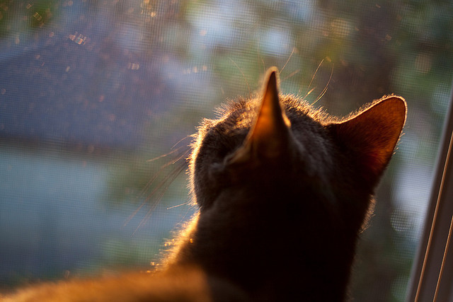 九游电脑版-电竞城市建设提速，吸引众多电竞企业，电竞城市发展指数