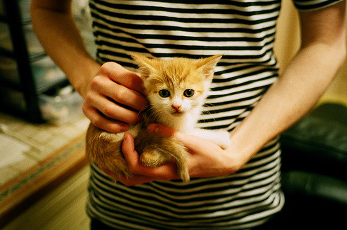 九游（jiuyou.com）游戏-阿根廷队在美洲杯小组赛中全胜出线，状态火热，阿根廷美洲杯比赛记录