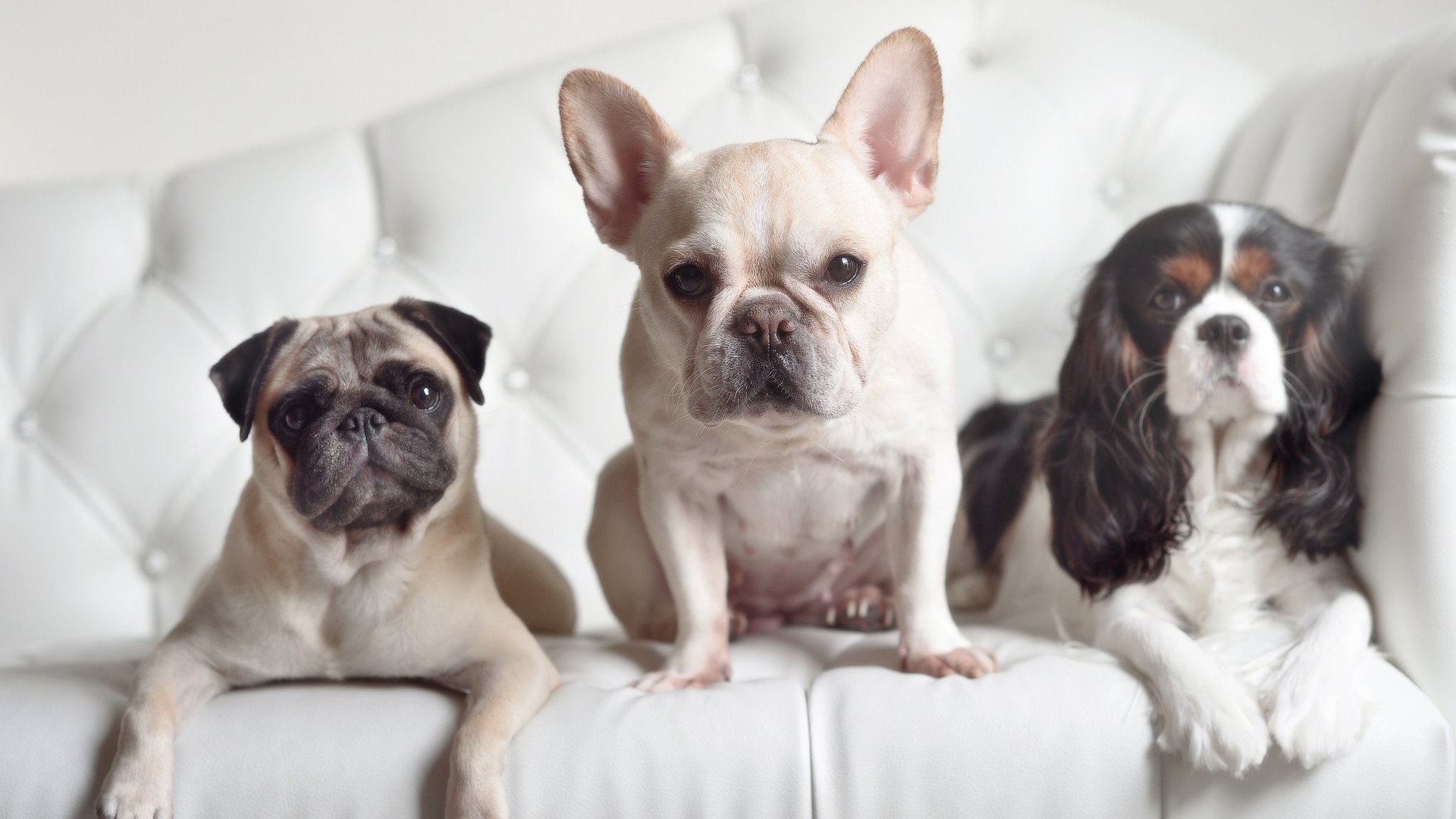 九游娱乐-英超球队引入节奏控制战术提升赛季稳定性，英超比赛机制