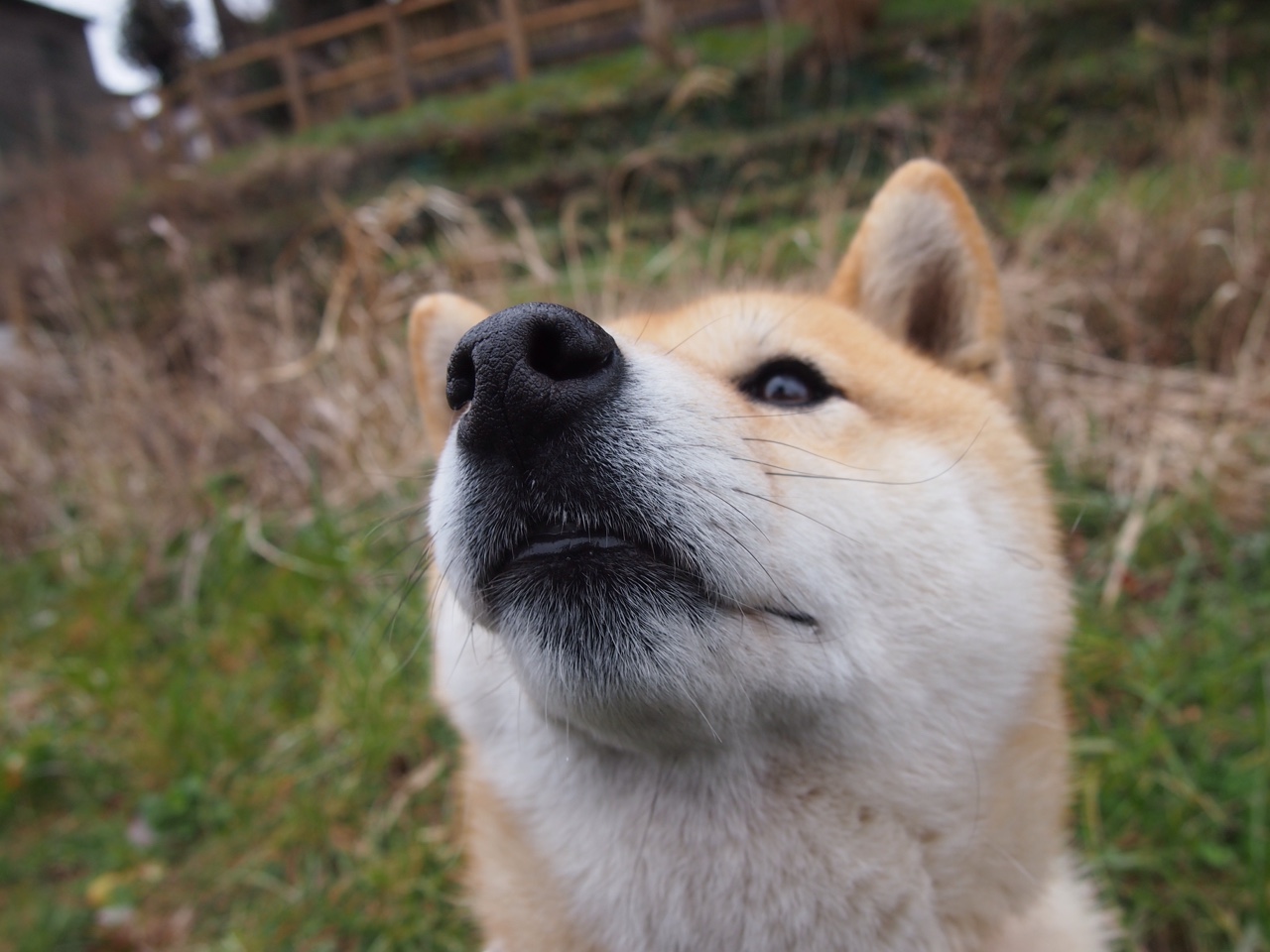 九游下载安装-“2025世界运动会：高新体育中心篮球赛成全球篮球迷热议焦点”