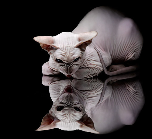 九游电脑版-中超联赛中国队爆冷 球员状态起伏较大，中超参赛队