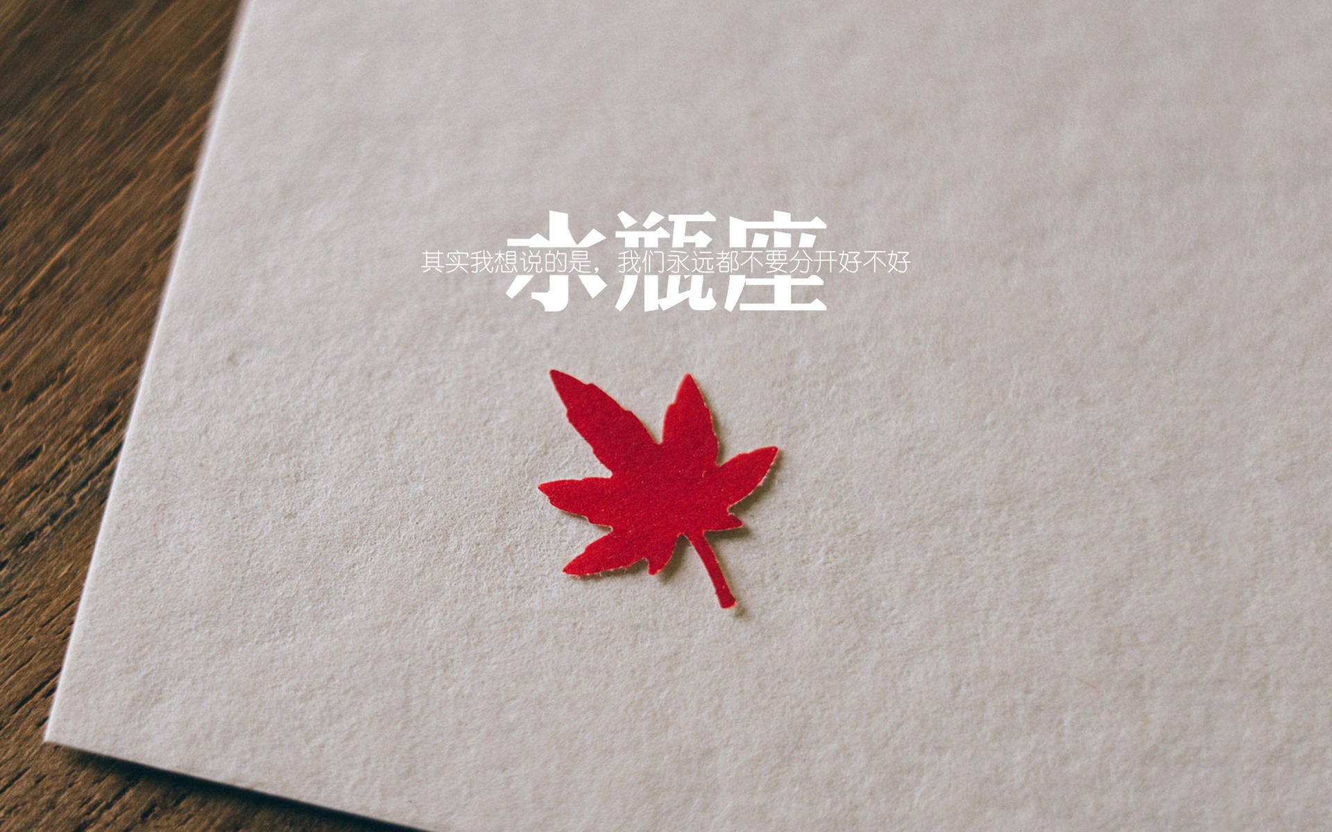 体育新闻中心构建体育教育类自媒体资源协同网络，全体育媒体