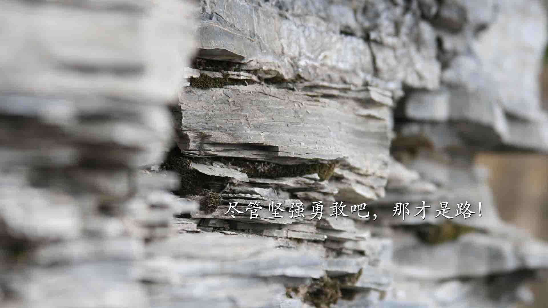 九游网-全国跳水冠军赛跳板项目竞争激烈，全国跳水选拔赛