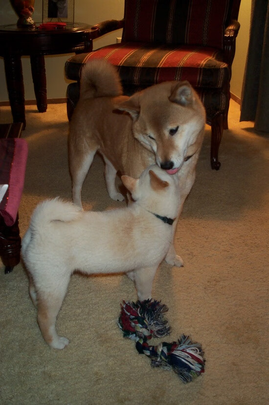 基层足球赛事组织难题,足球联赛组织方案