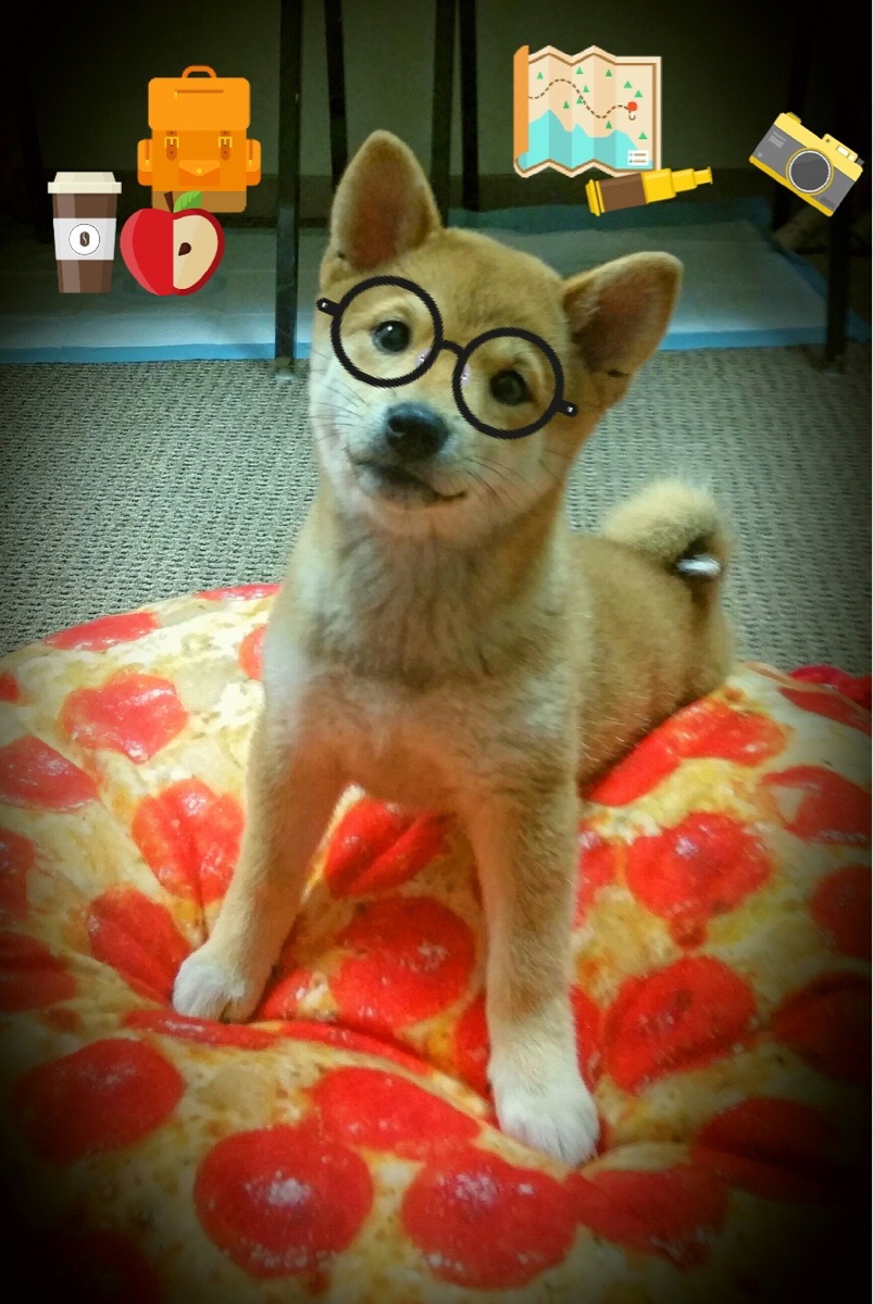 -激烈大战 奥预赛上国家队成功迎战，奥林匹克大战